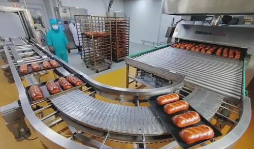 LFGB认证指南 食品加工设备出口德国的必备测试与资料